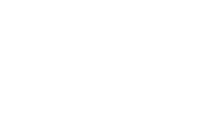 kapitanlogistics.ru
